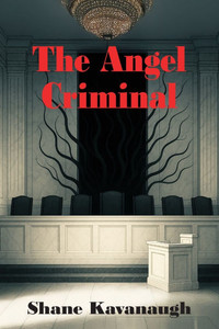 The Angel Criminal