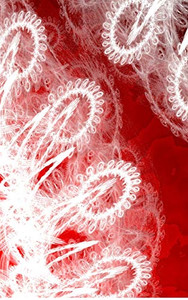 LETTERS TO MYSELF JOURNAL - White Lace on Red Metal LETTERS TO MYSELF JOURNAL - White Lace on Red Metal