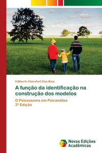 A função da identificação na construção dos modelos