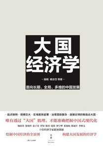 Mega-Nation Economics: Navigating China's Development with Long-Term Vision, Holistic Perspective, and Multidimensional Strategy/大国ń
