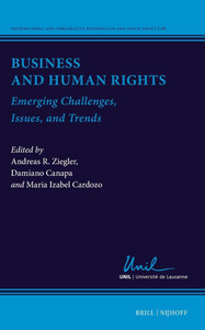 Business and Human Rights: Emerging Challenges, Issues, and Trends