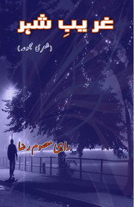 Ghareeb-e-Shahr: (A Traveller, Poetry Collection)
