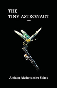 The Tiny Astronaut The Tiny Astronaut
