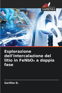 Esplorazione dell'intercalazione del litio in FeNbO₄ a doppia fase