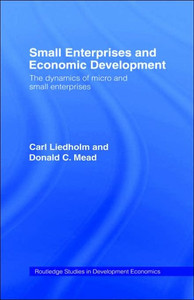 Small Enterprises and Economic Development: The Dynamics of Micro and Small Enterprises