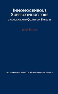 Inhomogeneous Superconductors: Granular and Quantum Effects