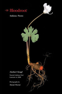 Bloodroot: Indiana Poems