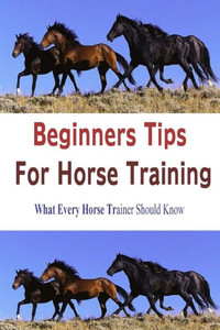 Beginners Tips for Horse Training