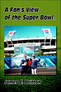 Fan's View of the Super Bowl (R)