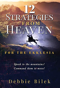 12 STRATEGIES FROM HEAVEN: FOR THE EKKLESIA - 9781647461324
