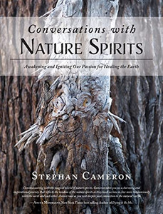 Conversations with Nature Spirits: Awakening and Igniting Our Passion for Healing the Earth - 9781643884745 Conversations with Nature Spirits: Awakening and Igniting Our Passion for Healing the Earth - 9781643884745
