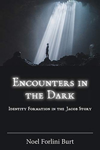 Encounters in the Dark: Identity Formation in the Jacob Story (Semeia Studies) Encounters in the Dark: Identity Formation in the Jacob Story (Semeia Studies)