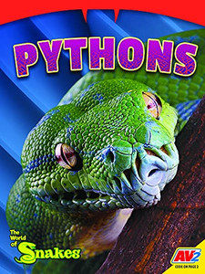Pythons