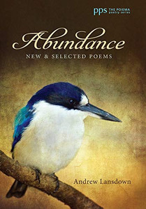 Abundance Abundance