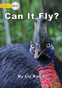 Can It Fly? Can It Fly?