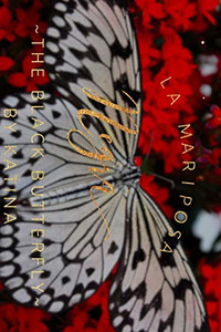 La Mariposa Negra La Mariposa Negra