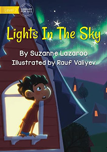 Lights In The Sky Lights In The Sky