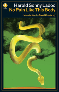 No Pain Like This Body