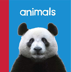 Baby Beginnings: Animals Baby Beginnings: Animals