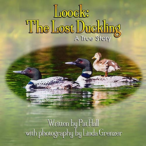 Loock : The Lost Duckling: a True Story Loock : The Lost Duckling: a True Story