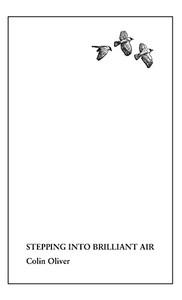 Stepping Into Brilliant Air - 9781914316319
