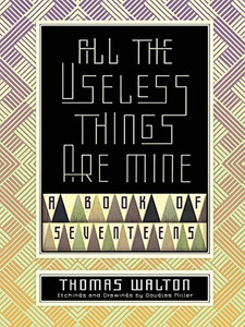 All the Useless Things Are Mine : A Book of Seventeens