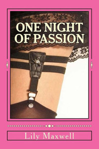 One Night of Passion