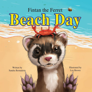 Fintan the ferret: Beach Day: Beach Day