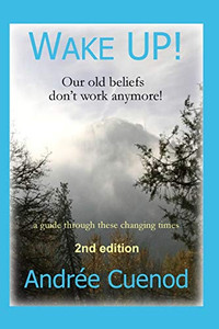 Wake Up! : Your Old Beliefs Don't Work Anymore