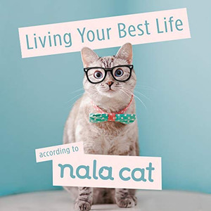 Living Your Best Life According to Nala Cat Living Your Best Life According to Nala Cat