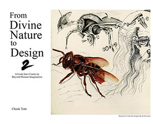 Creativity Beyond Human Imagination : A Look Into Creative Design in the Divine Universe