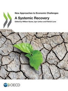 A Systemic Recovery
