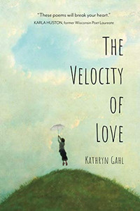 The Velocity of Love The Velocity of Love