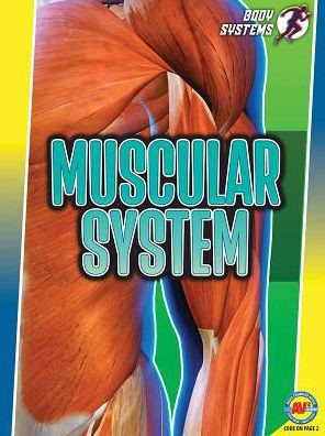 Muscular System