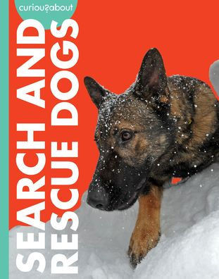 Curious about Search and Rescue Dogs