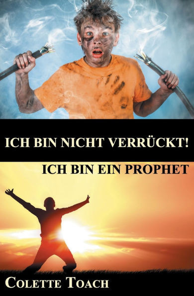 Ich bin nicht verrueckt - Ich bin ein Prophet
