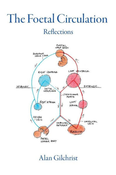 The Foetal Circulation