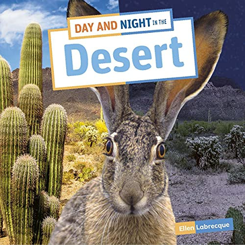 Day And Night In The Desert - 9781663976949