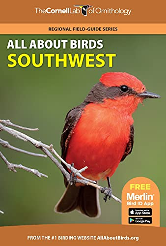 All About Birds Southwest