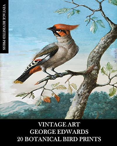 Vintage Art : George Edwards: 20 Botanical Bird Prints: Ephemera For Framing, Home Decor, Collage And Decoupage