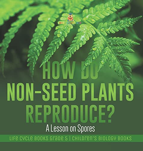 How Do Non-Seed Plants Reproduce? A Lesson On Spores | Life Cycle Books Grade 5 | Children'S Biology Books