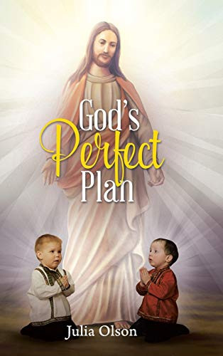 God's Perfect Plan - Hardcover