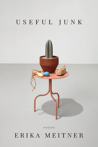 Useful Junk (American Poets Continuum Series, 191)