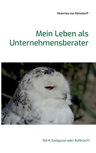 Mein Leben als Unternehmensberater: Teil 4: Sackgasse oder Aufbruch? (German Edition)