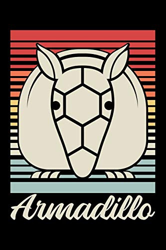 Armadillo: 6X9 120 Pages Quad Ruled | Your Personal Diary For An Awesome Summer