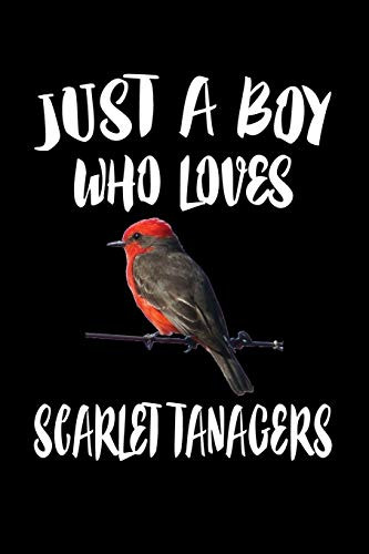 Just A Boy Who Loves Scarlet Tanagers: Animal Nature Collection