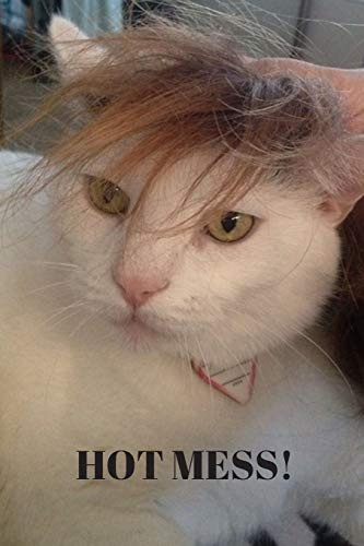Hot Mess!