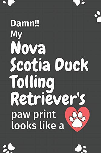 Damn!! My Nova Scotia Duck Tolling Retriever'S Paw Print Looks Like A: For Nova Scotia Duck Tolling Retriever Dog Fans