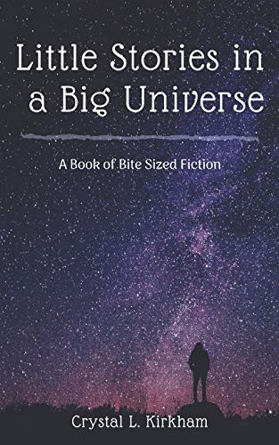 Little Stories In A Big Universe: A Book Of Bite-Sized Fiction