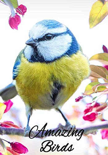 Amazing Birds: Coloring Book For Adults.